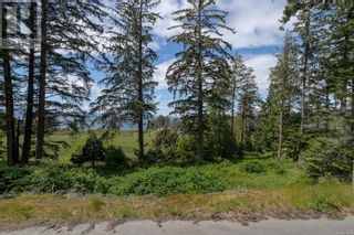 Photo 8: 7200 East Sooke Rd in Sooke: Vacant Land for sale : MLS®# 900244