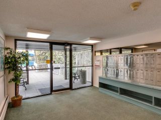 Photo 5: 107 5340 HASTINGS Street in Burnaby: Capitol Hill BN Condo for sale in "CEDARWOOD" (Burnaby North)  : MLS®# R2749381