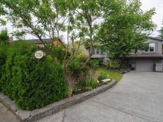 Photo 31: 1250 22nd St in COURTENAY: CV Courtenay City House for sale (Comox Valley)  : MLS®# 735547