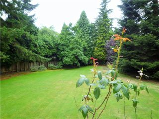 Photo 5: 3823 CYPRESS ST in Vancouver: Shaughnessy House for sale (Vancouver West)  : MLS®# V1080516