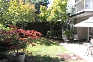 Photo 12: 23 4740 221 Street in Langley: Murrayville Townhouse for sale in "Eaglecrest" : MLS®# R2104326