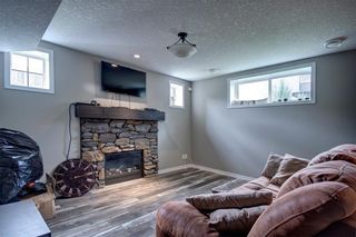 Photo 21: 26 COOPERSTOWN Row SW: Airdrie Detached for sale : MLS®# A1036079