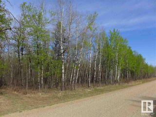 Photo 5: 50 Ave RR 281: Rural Wetaskiwin County Rural Land/Vacant Lot for sale : MLS®# E4299353