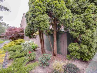 Photo 31: 4379 ARBUTUS Street in Vancouver: Quilchena Townhouse for sale in "Arbutus West" (Vancouver West)  : MLS®# R2581914