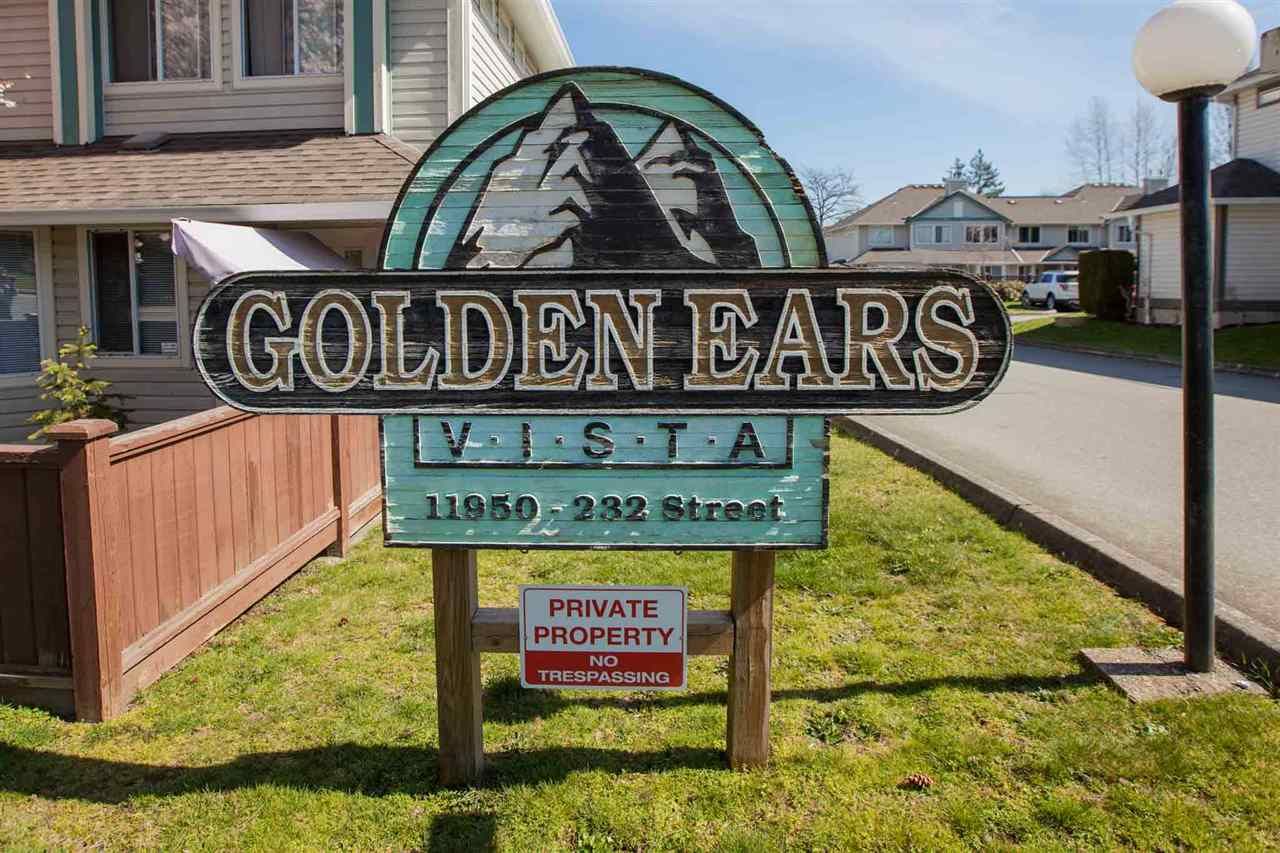 Photo 18: Photos: 20 11950 232 Street in Maple Ridge: Cottonwood MR Townhouse for sale in "GOLDEN EARS VISTA" : MLS®# R2353956