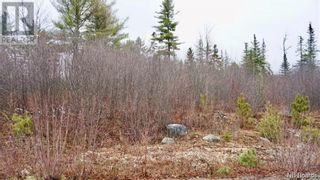 Photo 5: Lot #8 Route 740 in Heathland: Vacant Land for sale : MLS®# NB069266