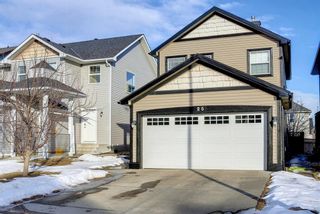 Main Photo: 25 Martha's Meadow Place NE in Calgary: Martindale Detached for sale : MLS®# A1259180