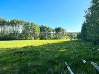 Photo 4: LOT A WRIGHT Road in Charlie Lake: Fort St. John - Rural W 100th Land for sale (Fort St. John)  : MLS®# R2700046