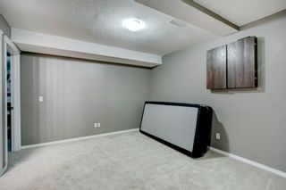 Photo 27: 26 Elgin Park Common SE in Calgary: McKenzie Towne Detached for sale : MLS®# A1232369