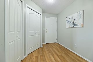 Photo 6: 2417 4975 130 Avenue SE in Calgary: McKenzie Towne Apartment for sale : MLS®# A1233854