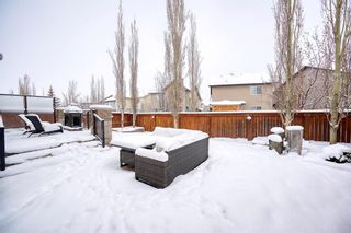 Photo 40: 235 Cougar Plateau Way SW in Calgary: Cougar Ridge Detached for sale : MLS®# A2021745