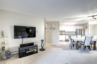 Photo 15: #312 60 Lawford Avenue: Red Deer Apartment for sale : MLS®# A1152455
