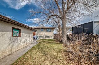 Photo 41: 3816 Dover Ridge Drive SE in Calgary: Dover Detached for sale : MLS®# A2124560