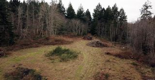 Photo 13: 7655 W Harby Rd in Lantzville: Na Upper Lantzville Unimproved Land for sale (Nanaimo)  : MLS®# 917381