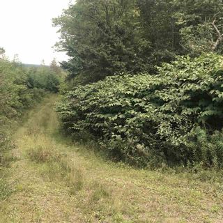 Photo 7: Lot Westchester Road in Westchester Valley: 102N-North Of Hwy 104 Vacant Land for sale (Northern Region)  : MLS®# 202017457