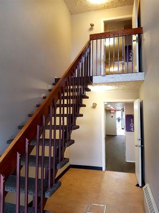 Photo 15: 4327 73 Street NW in Calgary: Bowness Multi Family for sale : MLS®# A1223413