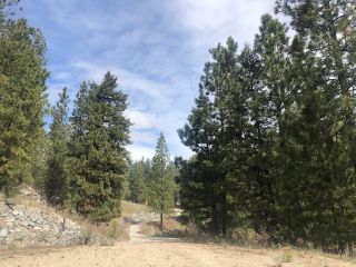 Photo 6: LOT 9 MULE DEER Point, in Osoyoos: Vacant Land for sale : MLS®# 198643