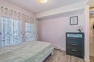 Photo 22: 240 60 Royal Oak Plaza NW in Calgary: Royal Oak Apartment for sale : MLS®# A2020752