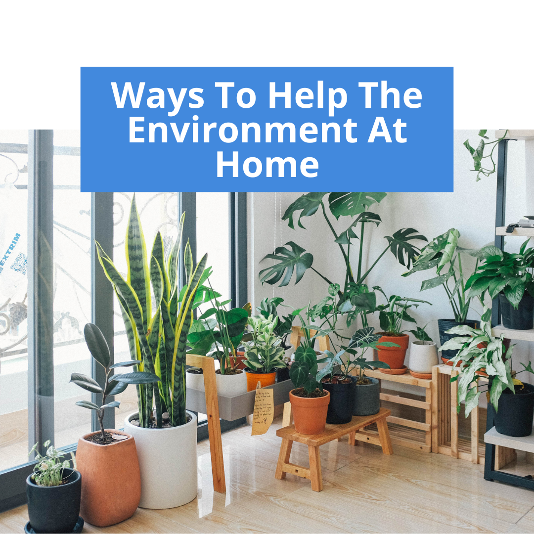 Ways to Help the Environment at Home
