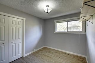 Photo 23: 4604 Maryvale Drive NE in Calgary: Marlborough Detached for sale : MLS®# A1090414
