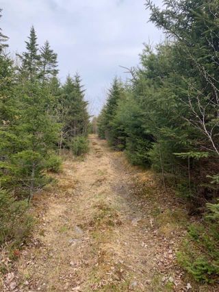 Photo 2: Lot WA - 2 Moser River North Road in Moser River: 35-Halifax County East Vacant Land for sale (Halifax-Dartmouth)  : MLS®# 202309842