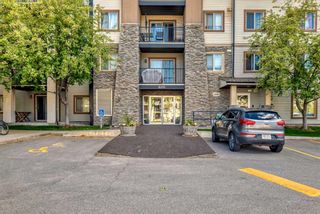 Main Photo: 1103 8 Bridlecrest Drive SW in Calgary: Bridlewood Apartment for sale : MLS®# A2137863