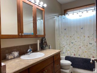 Photo 20: 4815 55 Avenue: Warburg Manufactured Home for sale : MLS®# E4311132