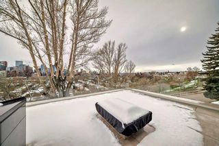 Photo 33: 530 Crescent Road NW in Calgary: Rosedale Detached for sale : MLS®# A2123289
