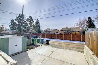 Photo 29: 3417 35 Avenue SE in Calgary: Dover Semi Detached for sale : MLS®# A1207904