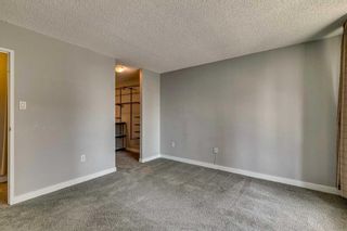 Photo 21: 5D 133 25 Avenue SW in Calgary: Mission Apartment for sale : MLS®# A2068257