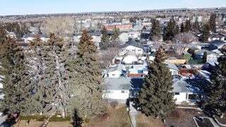 Photo 4: 8036 34 Avenue NW in Calgary: Bowness Detached for sale : MLS®# A2025586