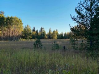 Photo 23: BLOCK D DL7872 TAKLA FOREST Road in Prince George: Reid Lake Land for sale in "McPhee Road" (PG Rural North)  : MLS®# R2768066