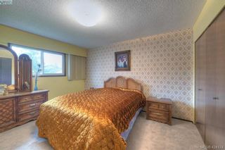 Photo 12: 4383 Majestic Dr in VICTORIA: SE Gordon Head House for sale (Saanich East)  : MLS®# 837692