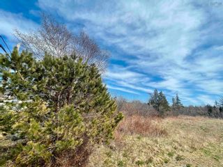 Photo 8: Lot Highway 3 in Barrington Passage: 407-Shelburne County Vacant Land for sale (South Shore)  : MLS®# 202208052