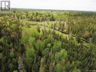 Photo 17: - Canoose Stream Road in Canoose: Vacant Land for sale : MLS®# NB073754