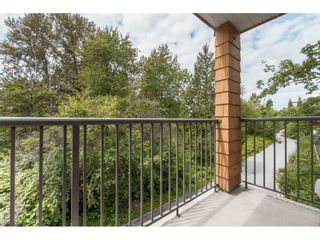 Photo 16: 205 12207 224 Street in Maple Ridge: West Central Condo for sale in "Evergreen" : MLS®# R2388902