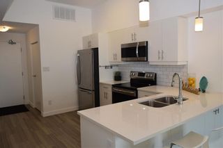 Photo 11: 407 247 River Avenue in Winnipeg: Osborne Village Condominium for sale (1B)  : MLS®# 202218789