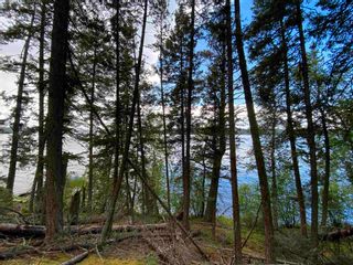 Photo 18: LOT 7 S SOMERSET Drive: Cluculz Lake Land for sale in "SOMERSET ESTATES" (PG Rural West (Zone 77))  : MLS®# R2596563