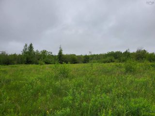 Photo 5: 23-3 242 Highway in River Hebert East: 102S-South of Hwy 104, Parrsboro Vacant Land for sale (Northern Region)  : MLS®# 202312416