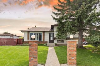 Photo 1: 331 Bedford Place NE in Calgary: Beddington Heights Detached for sale : MLS®# A2017221