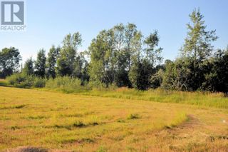 Photo 16: 9305 SALMON VALLEY ROAD in Prince George: Vacant Land for sale : MLS®# R2746005