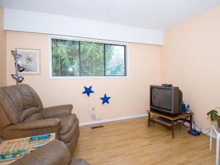 Photo 10: 954 Peggy Anne Cres in Central Saanich: Residential for sale : MLS®# 260856