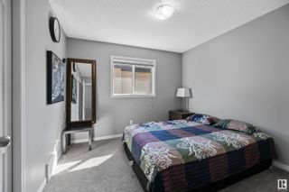 Photo 27: 3908 166 Avenue in Edmonton: Zone 03 House for sale : MLS®# E4358910