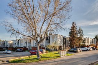Photo 31: 306 13104 Elbow Drive SW in Calgary: Canyon Meadows Row/Townhouse for sale : MLS®# A2130958
