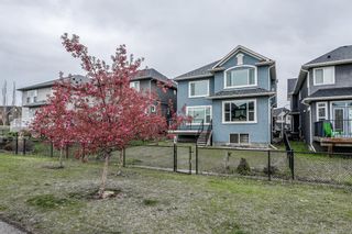 Photo 40: 57 CRANARCH Place SE in Calgary: Cranston Detached for sale : MLS®# A1112284