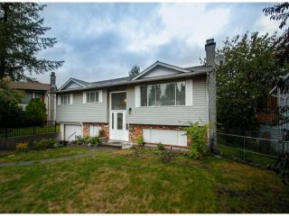 Main Photo: 20283 46A Avenue in Langley: Langley City House for sale in "Creekside" : MLS®# F1423769