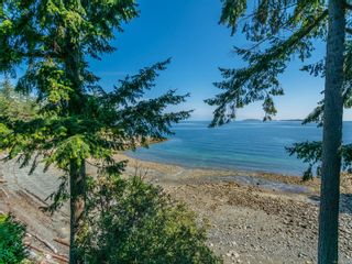 Photo 63: 3605 DOLPHIN Dr in Nanoose Bay: PQ Nanoose House for sale (Parksville/Qualicum)  : MLS®# 853805