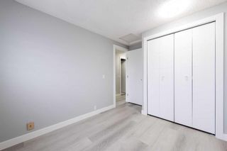 Photo 22: 5401 54 Street NE in Calgary: Falconridge Semi Detached (Half Duplex) for sale : MLS®# A2114518