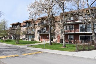 Photo 1: 4A 231 Heritage Drive SE in Calgary: Acadia Apartment for sale : MLS®# A2047669