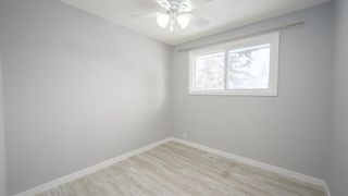 Photo 11: 3413 Radcliffe Drive SE in Calgary: Albert Park/Radisson Heights Detached for sale : MLS®# A1170577